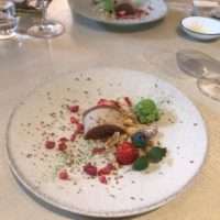 7385d9b6310eb3c8766341a3f88756d6 scaled