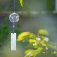 furin g1448d0002 1280