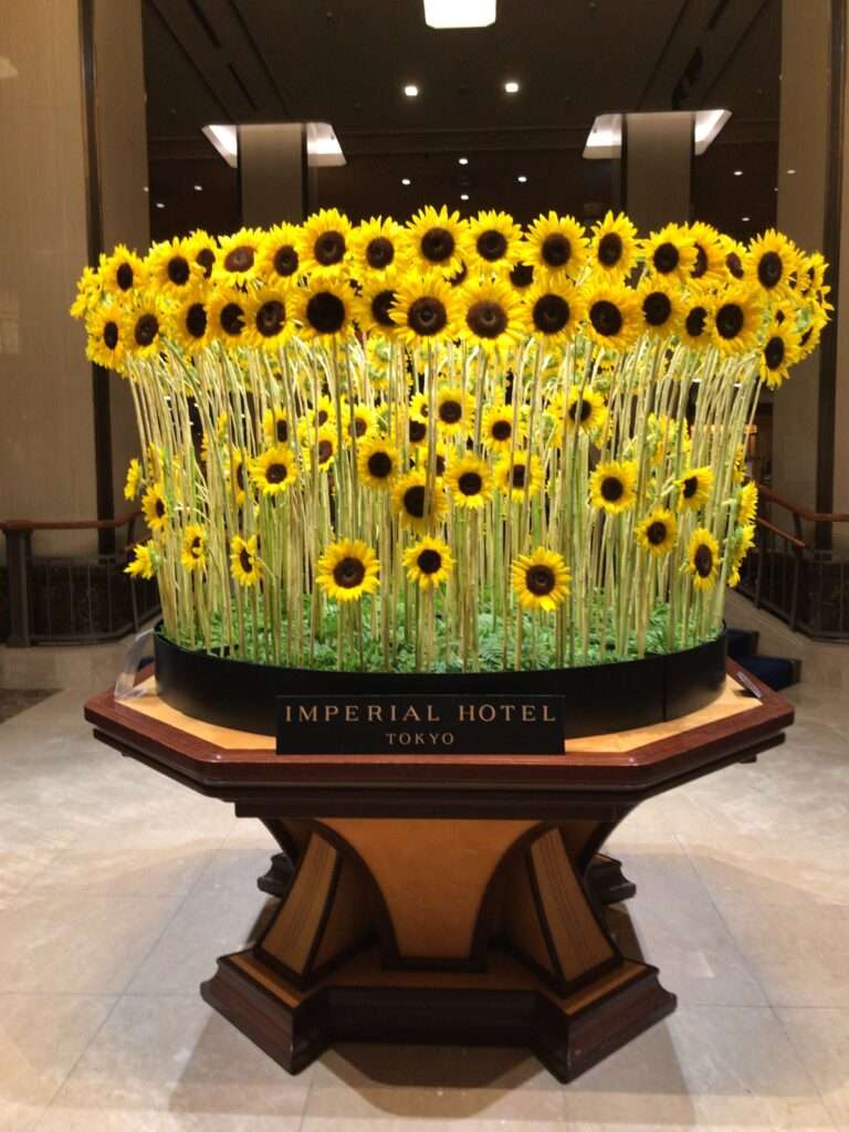 帝国ホテルのディスプレイ