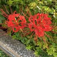 8f61b9ee88264cd986cc02492d8e156e scaled