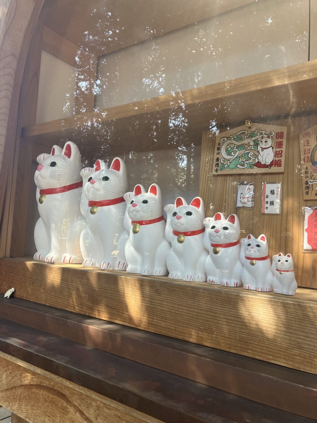 豪徳寺のねこ