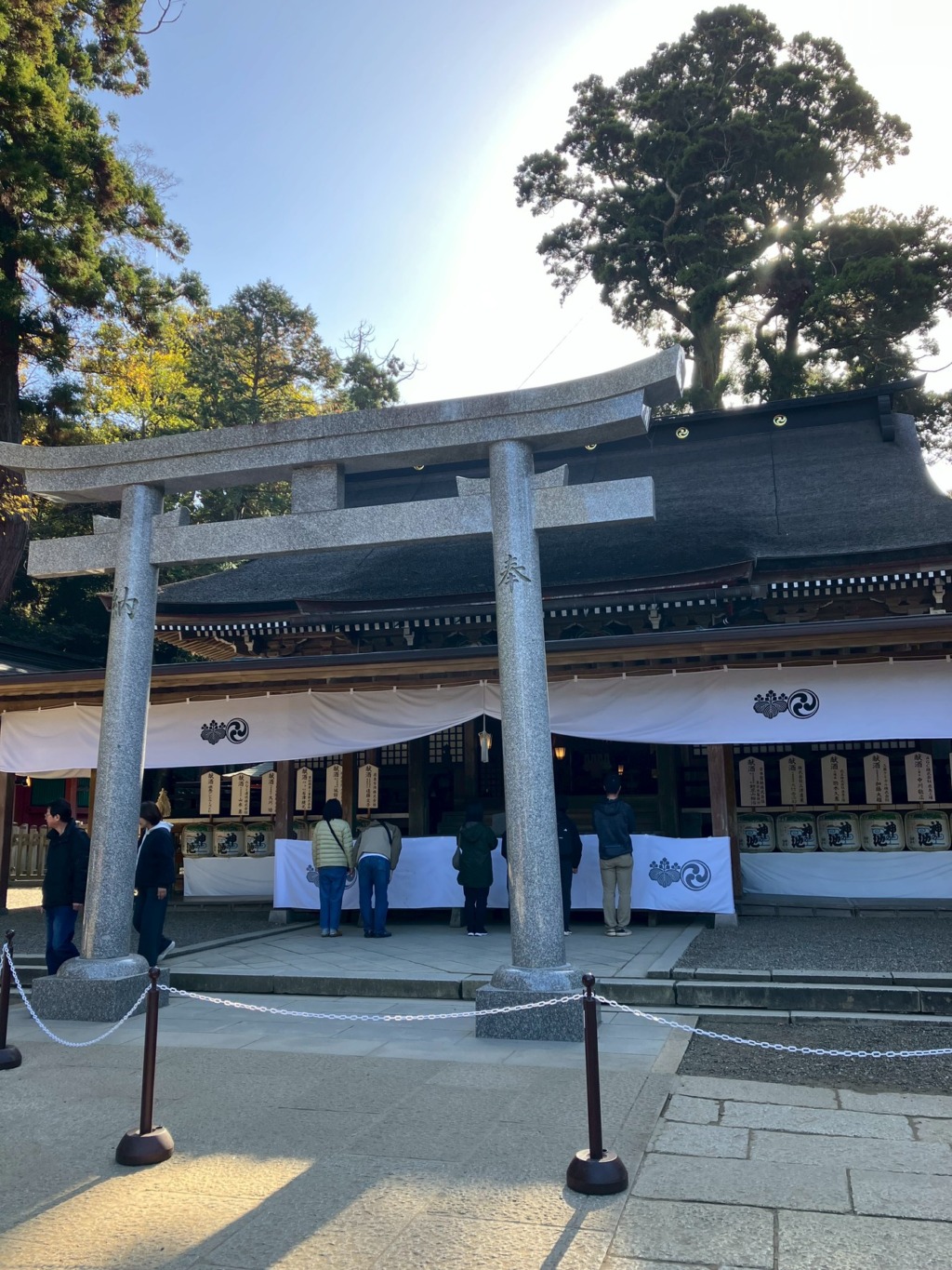 鹿島神宮 拝殿 鹿島神宮の拝殿で参拝する参拝者の様子。朝日が差し込む境